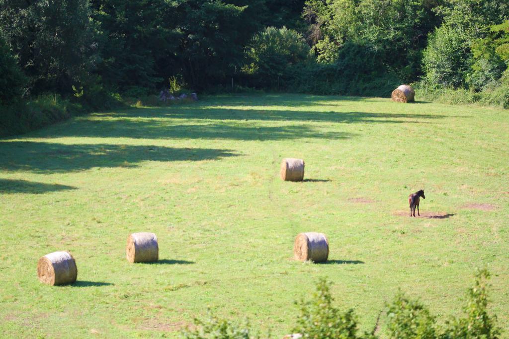 Agriturismo Casale La Palombara Villa Cerreto di Spoleto Bagian luar foto